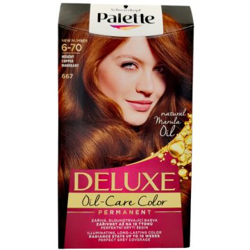 Palette Deluxe Hair Color 6-70